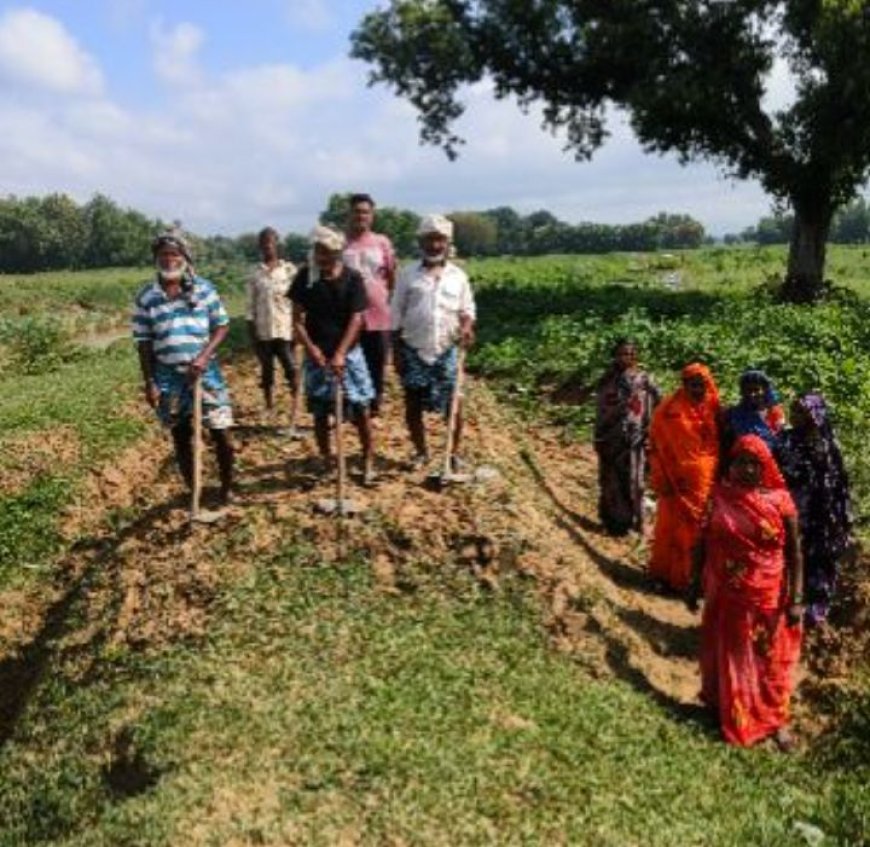 पचपेड़वा विकासखंड गरीबों के हक़ पर डाका — कागज़ों पर मजदूरी, मैदान में सन्नाटा