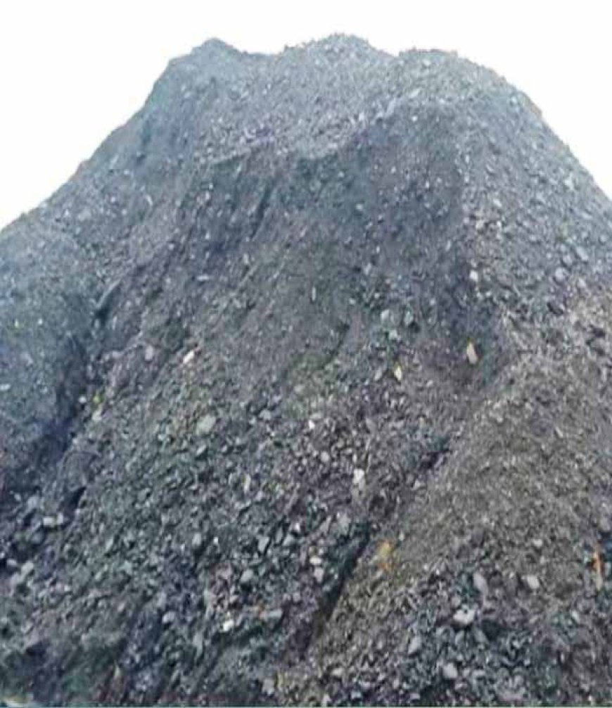 मिक्सिंग कोयले की जांच में दिलचस्पी नही दिखा रहा खनिज अमला पूर्व की तरह जांच के मामले में लीपापोती करने की चल रही कवायद, कोल कारोबारी दफ्तर कर रहे हैं परिक्रमा