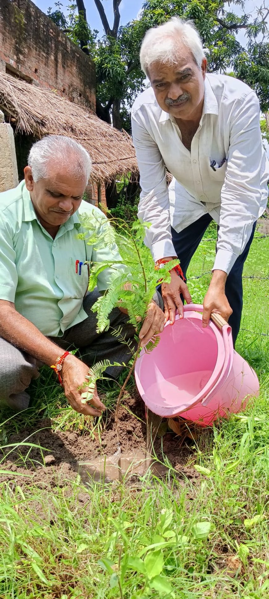शीतलपुर तरौंहा में प्रगतिशील युवा आधुनिक समिति ने बुजुर्गों का किया सम्मान, रोपित किए आंवले के पौधे
