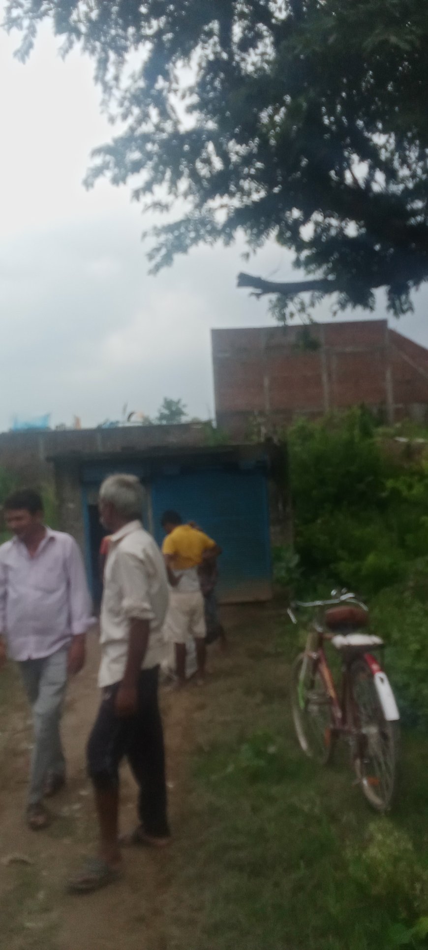 यूरिया संकट से किसान बेहाल — कालाबाजारी और सीमा पार तस्करी ने बढ़ाई परेशानी
