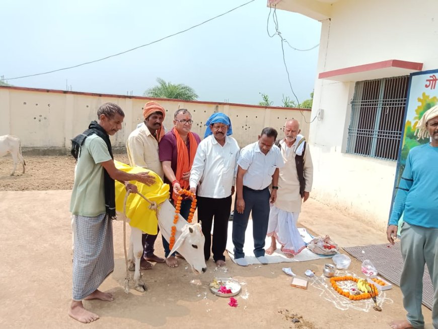 श्री कृष्ण जन्माष्टमी के पावन अवसर पर नगर पालिका परिषद चित्रकूट धाम द्वारा कान्हा गौशाला में गौ पूजन किया गया