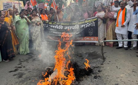 राहुल गांधी और कांग्रेस पार्टी के खिलाफ भाजपा का हल्लाबोल।  महिला मोर्चा ने निकाली  विशाल आक्रोश रैली, किया पुतला दहन