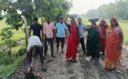 नारायणपुर जुडवानिया में मनरेगा फर्जीवाड़ा! 7 मास्टर रोल पर 65 मजदूर ऑनलाइन हाजिर, मौके पर सन्नाटा