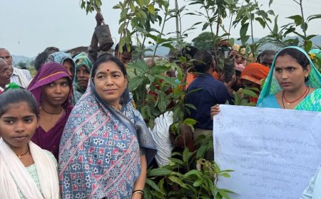 “एक बगिया मां के नाम परियोजना मध्यप्रदेश में साकार हो रहा पर्यावरण संरक्षण से नारी सशक्तिकरण का संकल्प फलोद्यान की बगिया विकसित करने में सिंगरौली जिला प्रदेश में सबसे आगे