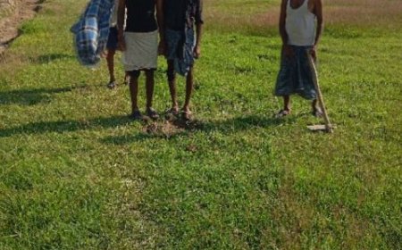 मनरेगा में फर्जीवाड़ा : मजदूरों की मेहनत की कमाई हजम, अधिकारी मौन