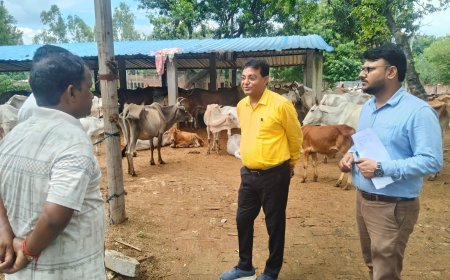 खंण्ड विकास अधिकारी संजीव कुमार गुप्ता ने बरोलिया के गौआश्रय स्थल का निरीक्षण किया दिया आवाश्यक दिशा निर्देश