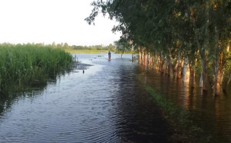सरयू नदी घाघरा में नेपाल के गिरिजा बैराज व शारदा बैराज से आज फिर छोडा गया लाखों क्यूसेक पानी