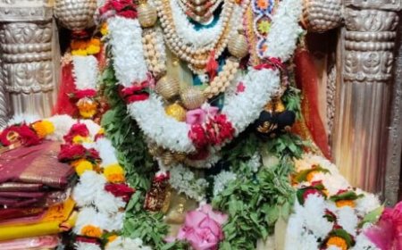 मिरघाट स्थित विशालाक्षी देवी का कुम्भाभिषेक का 45 दिवसीय आयोजन होगा