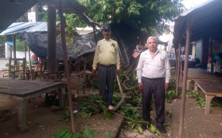 तहसील परिसर सिरौलीगौसपुर में अर्जुन पेंड की टहनी टूट कर टीन सेड पर गिरी छविनाथ वर्मा बाल बाल बचे