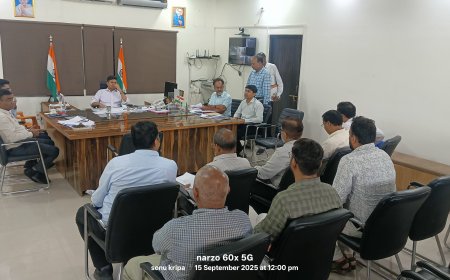 जिलाधिकारी  शिवशरणप्पा जीएन की अध्यक्षता में पटेल तिराहा से देवांगना मार्ग में वृक्षों के कटान एवं पोल शिफ्टिंग के संबंध में बैठक कलेक्ट्रेट चेंबर में संपन्न हुई।