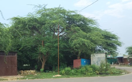 *दूधीचुआ क्षेत्र में अवैध अतिक्रमण जोरों पर कहीं ना कहीं एनसीएल दूधीचुआ  सिक्योरिटी के ऊपर बड़े सवाल खड़े हो रहे हैं*