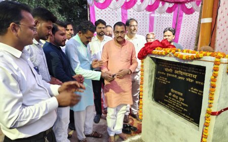 नगर पालिका अध्यक्ष ने स्ट्रीट लाइट का किया उद्घाटन