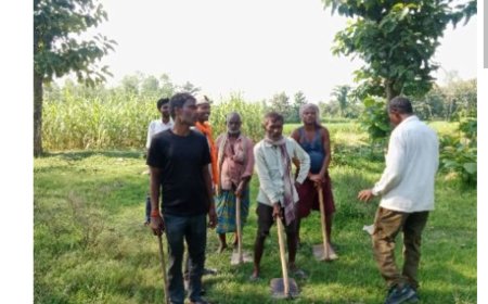 मनरेगा में फर्जीवाड़ा जारी: गरीबों के हक़ पर डाका, मौके पर आधे से भी कम मजदूर