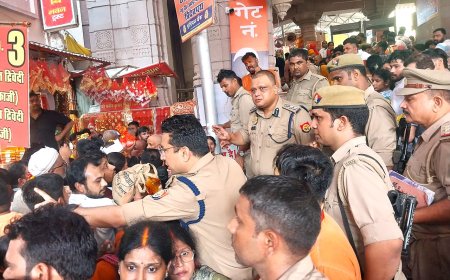 वरिष्ठ पुलिस अधीक्षक मीरजापुर द्वारा  विन्ध्याचल मेला क्षेत्र में भ्रमण/निरीक्षण कर लिया गया सुरक्षा व्यवस्था का जायजा