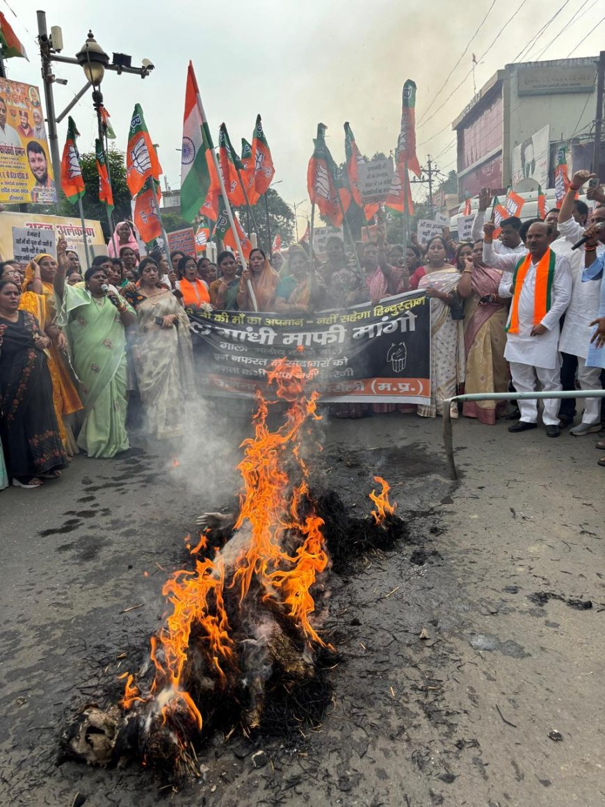 राहुल गांधी और कांग्रेस पार्टी के खिलाफ भाजपा का हल्लाबोल। महिला मोर्चा ने निकाली विशाल आक्रोश रैली, किया पुतला दहन