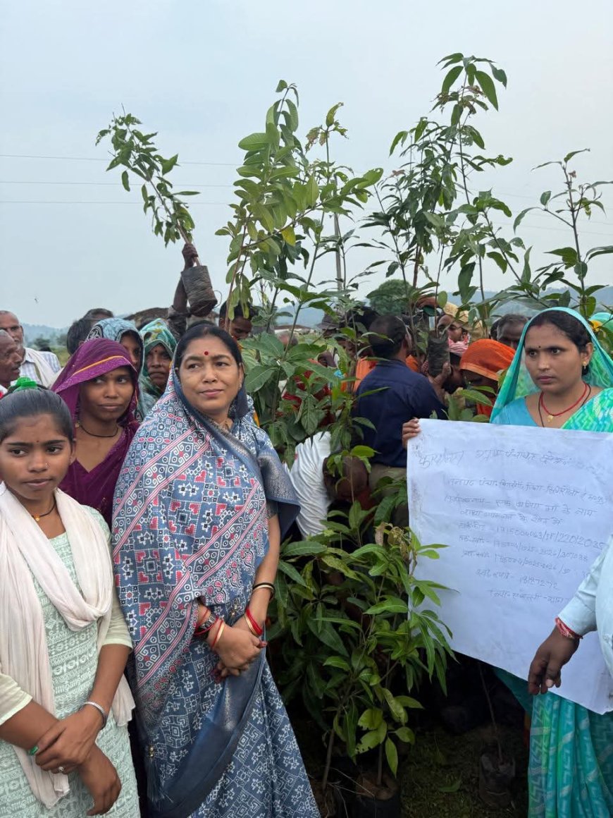 “एक बगिया मां के नाम परियोजना मध्यप्रदेश में साकार हो रहा पर्यावरण संरक्षण से नारी सशक्तिकरण का संकल्प फलोद्यान की बगिया विकसित करने में सिंगरौली जिला प्रदेश में सबसे आगे