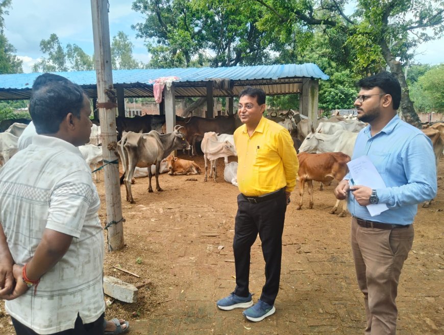 खंण्ड विकास अधिकारी संजीव कुमार गुप्ता ने बरोलिया के गौआश्रय स्थल का निरीक्षण किया दिया आवाश्यक दिशा निर्देश