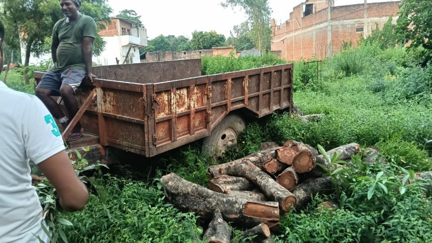 प्रतिबन्धित पेड़ों को कटाया मुकदमा दर्ज