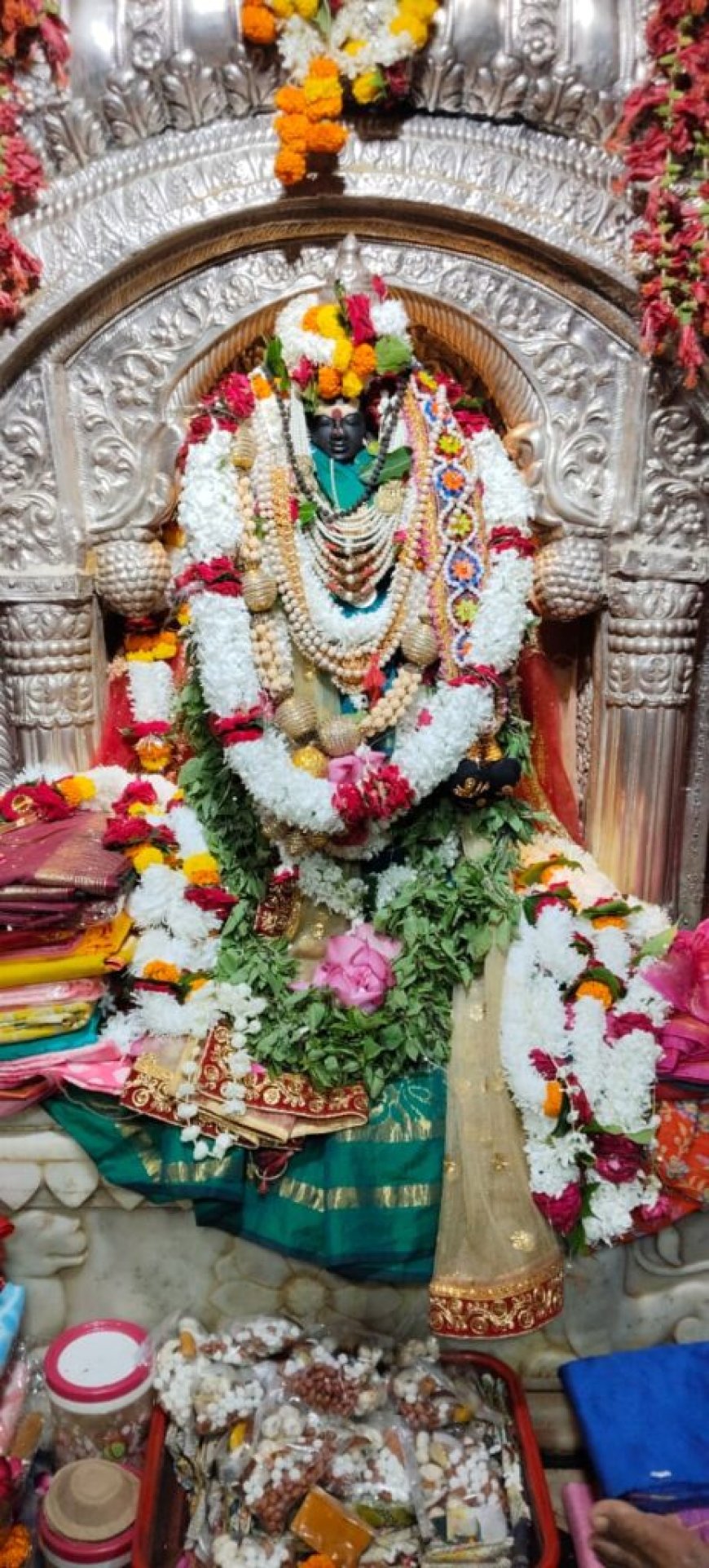 मिरघाट स्थित विशालाक्षी देवी का कुम्भाभिषेक का 45 दिवसीय आयोजन होगा