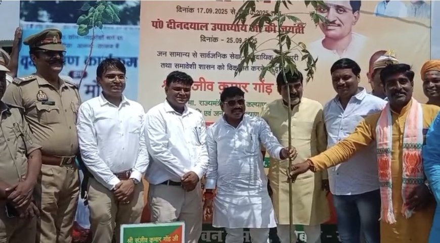 वन प्रभागीय जुगैल रेंज मां मंत्री संजीव गोंड द्वारा जुगैल में वृक्षारोपण किया गया