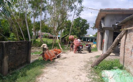 सहन की भूमि पर कब्जा करने का प्रयास किया जा रहा है