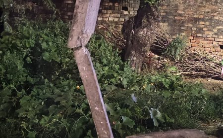 15 महीने से टूटा खंभा: रस्सी के सहारे टिकी जान, बिजली विभाग की लापरवाही दे रही ‘मौत को न्योता’