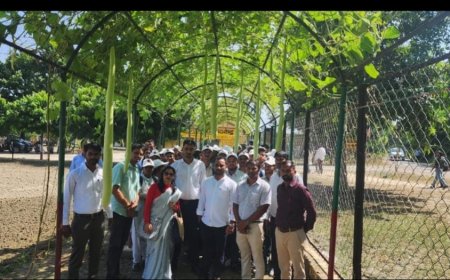 भारत में कृषि उद्योग का बढ़ता हुआ वर्चस्व