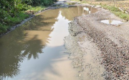 बदोसरांय से हजरतपुर सडक पर बह रहा है गन्दा नालियों का पानी लोक निर्माण विभाग के अधिकारी मौन
