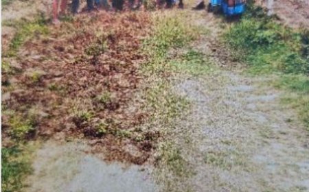 गैसड़ी ब्लॉक में मनरेगा में फर्जीवाड़े का खेल जारी, मजदूरों के हक पर डाका