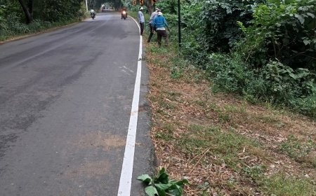 खबर के असर लोक निर्माण विभाग खंण्ड एक के अधिशाषी अभियन्ता दीपक चौधरी के निर्देश से पटरियों की सफाई का कार्य शुरू