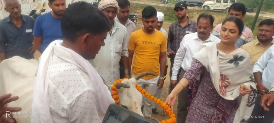खरसेडा गौशाला पहुंची सीडीओ ने गौ माता की पूजा कर प्रकृति संरक्षण का दिया संदेश