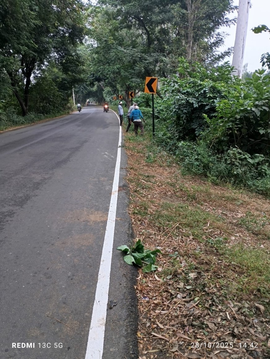 खबर के असर लोक निर्माण विभाग खंण्ड एक के अधिशाषी अभियन्ता दीपक चौधरी के निर्देश से पटरियों की सफाई का कार्य शुरू