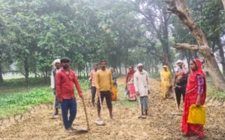 फर्जी मनरेगा का खेल! ग्राम पंचायत मनोहरपुर में चल रहा ऑनलाइन हेरफेर – मजदूरों के नाम पर हो रही लूट