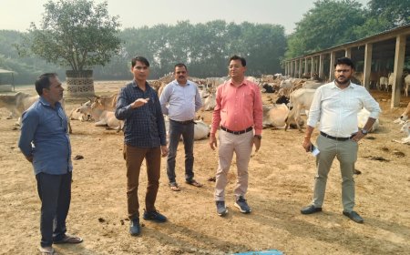 खंण्ड विकास अधिकारी संजीव कुमार गुप्ता ने गौशाला का निरीक्षण किया दिये आवाश्यक दिशा निर्देश