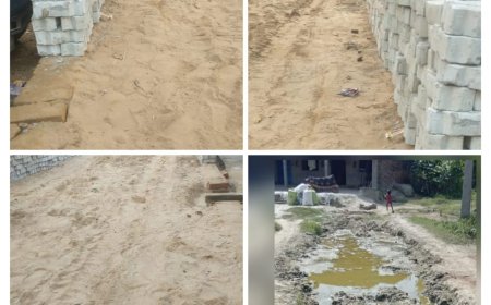 पांच साल बीत जाने के बाद भी नही हुआ विकास, विकास से अछूत रहा ऐराया