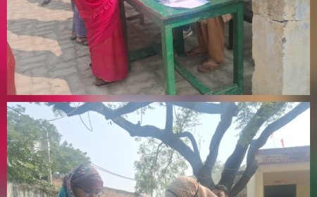 एस.आई.आर. फार्म भरने में हो रही मनमानी पर ग्रामीणों ने जताई नाराजगी