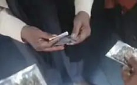 खागा कोतवाली के 100 मीटर दूरी पर संदीप पाल माफिया के द्वारा बेचा जा रहा है गांजा