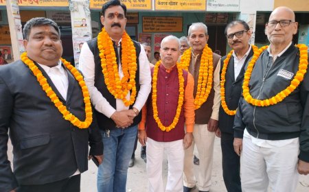 सत्यानंद बने तहसील बार संघ के अध्यक्ष