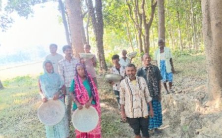 मनरेगा में बड़ा फर्जीवाड़ा: मजदूरों के हक पर डाका, सरकारी धन की बंदरबांट