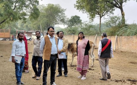 कलिंदा गौशाला का तहसीलदार वा बीडीओ ने किया निरीक्षण