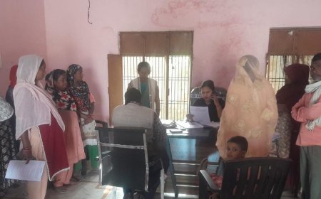 नायब तहसीलदार अन्नू सिंह ने एस आई आर का निरीक्षण किया