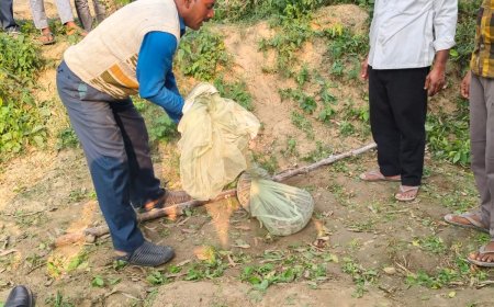 तुरकानी गांव में गुलाब के खेत में निकला विशाल काय अजगर ग्रामीणों की सूचना पर पहुंची वन विभाग टीम ने कड़ी मशक्कत के बाद पकडकर जंगल में छोडा