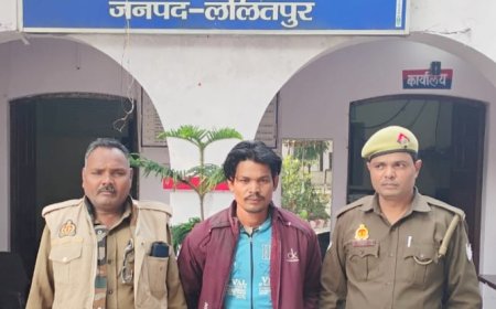 तालबेहट पुलिस द्वारा भैंस चोरी के अभियोग में वांछित एक अभियुक्त गिरफ्तार