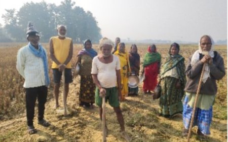 मनरेगा योजना में बड़ा भ्रष्टाचार उजागर मजदूरों के हक पर डाका