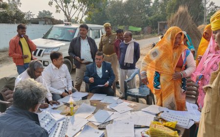 तहसील के पारिजात सभागार में उपजिलाधिकारी प्रीति सिंह की अध्यक्षता में एस आई आर कार्यों की समीक्षा बैठक