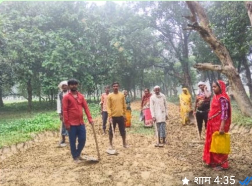 फर्जी मनरेगा का खेल! ग्राम पंचायत मनोहरपुर में चल रहा ऑनलाइन हेरफेर – मजदूरों के नाम पर हो रही लूट