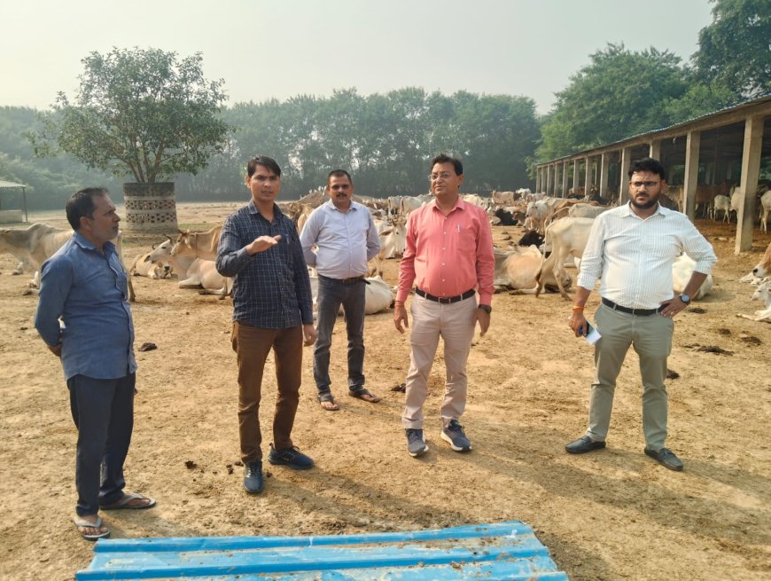 खंण्ड विकास अधिकारी संजीव कुमार गुप्ता ने गौशाला का निरीक्षण किया दिये आवाश्यक दिशा निर्देश