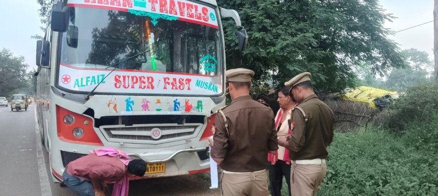 यातायात पुलिस द्वारा यातायात माह नवम्बर के दृष्टिगत जागरूकता अभियान चलाकर किया गया जागरूक।