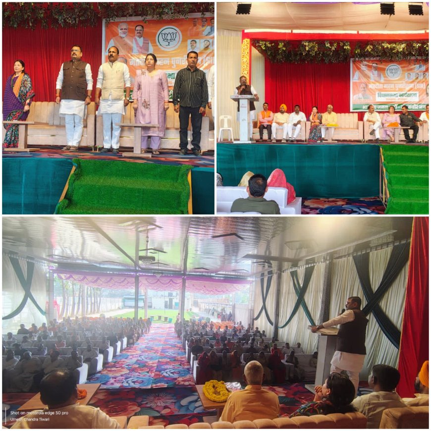 प्रत्येक पात्र ब्यक्ति का नाम हो मतदाता सूची में कार्यकर्ता ले संकल्प : अंकुर राज तिवारी