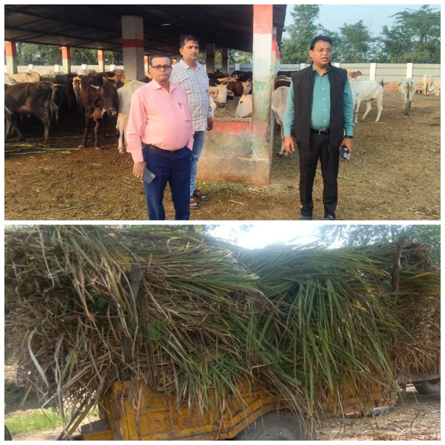 बी डी ओ सिरौलीगौसपुर व नायब तहसीलदार ने गौशाला का निरीक्षण किया